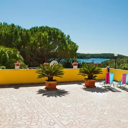 Apartman Ada Vinkuran