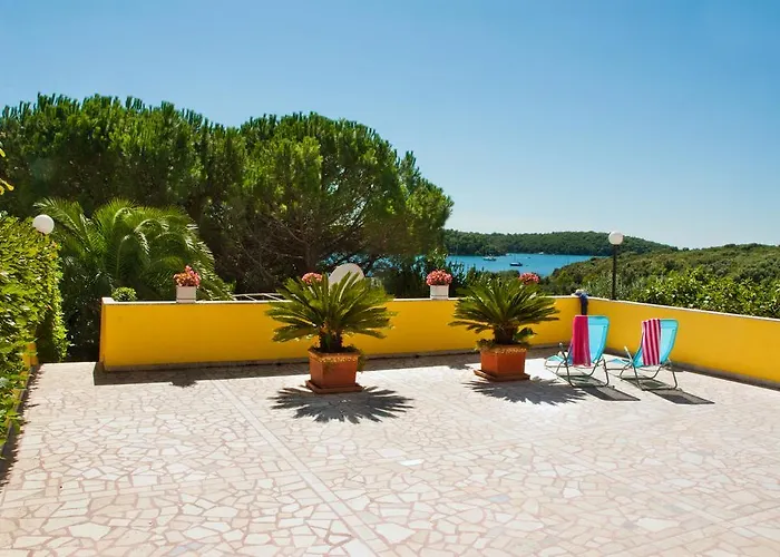 아파트 Ada 빈쿠란